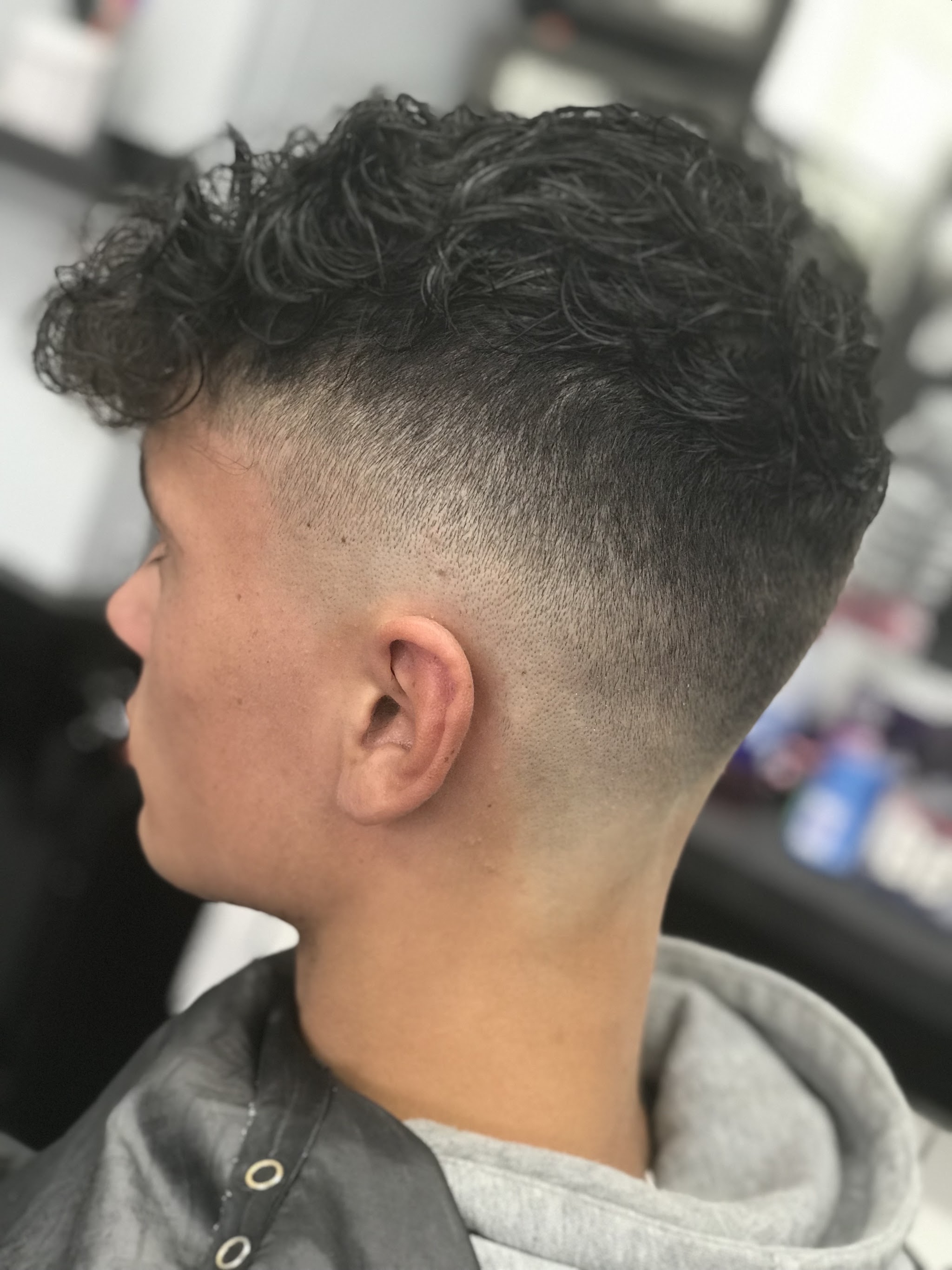 Curly top with a high skin fade, seen from the side